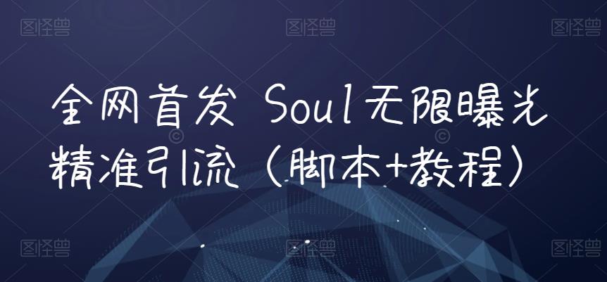 全网首发 Soul无限曝光精准引流（脚本 教程）插图